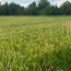  Annonces CHABEUIL : Terrain | CHATUZANGE-LE-GOUBET (26300) | 0 m2 | 116 500 € 